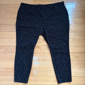 Terra & Sky black Leopard Print Pants